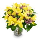 Kytice žlutých orchidejí